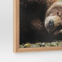 20" X 16" Bear Photography Framed Art Brown - Threshold™ -Home Deals Store GUEST 8d29808a 8d0a 4121 a8c8 64d15cc45658